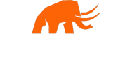 Mammoth Foundation Repair logo